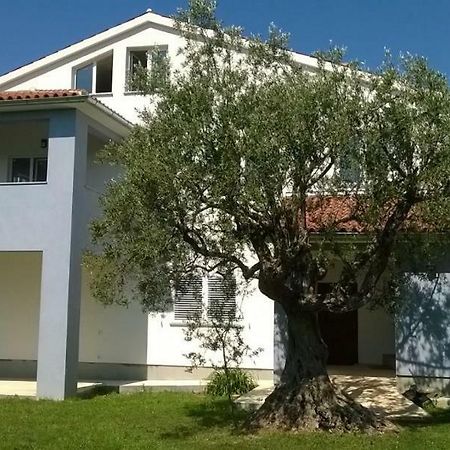 Apartments Villa Ulivo - Apartment Sol Fazana Bagian luar foto